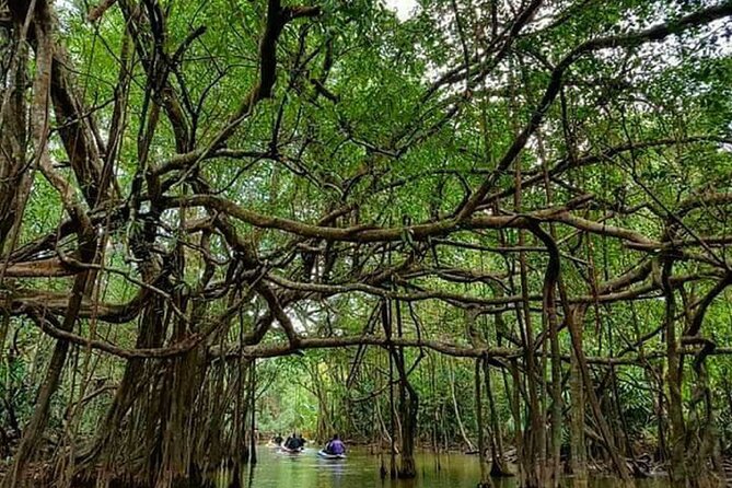 Thailand Nature & Culture Tour With Lunch - Tour Highlights