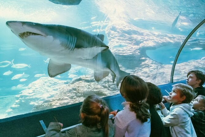 The Aquarium of Western Australia General Admission Ticket  - Perth - Overview of the Aquarium of Western Australia