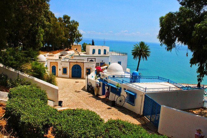 The Best of Sidi Bou Said Walking Tour - Overview of Sidi Bou Said