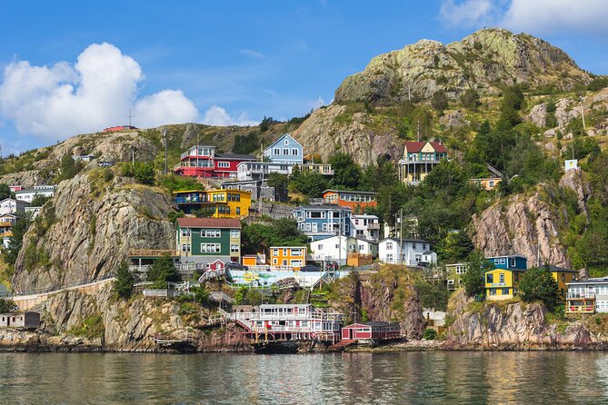 The Best of St. Johns Walking Tour - Professional Guide Services and Transportation