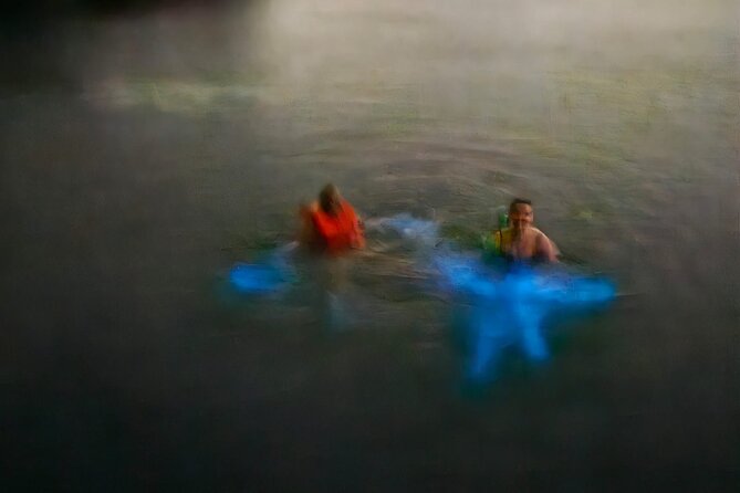 The Best Thing to Do in Tobago at Night Bioluminescence Tour. - Inclusions