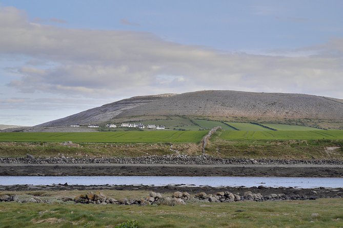The Burren and Cliffs of Moher Full Day Private Tour From Galway - Comfortable Transportation and Expert Commentary
