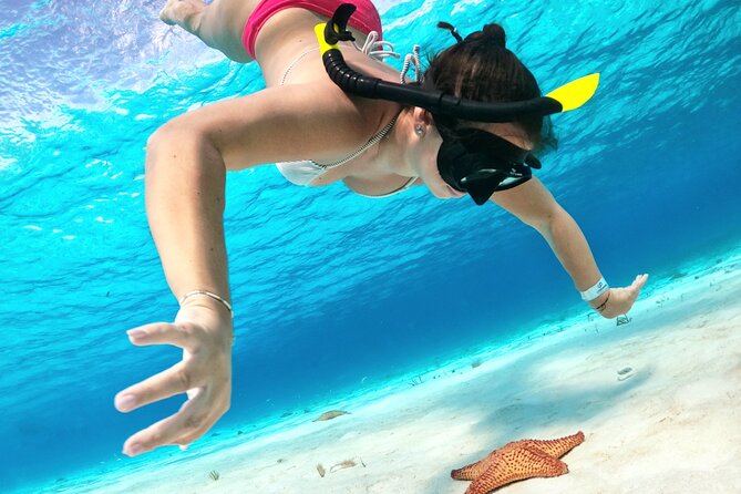 The Cozumel Turtle Sanctuary Snorkel Tour - Meeting and Pickup Details