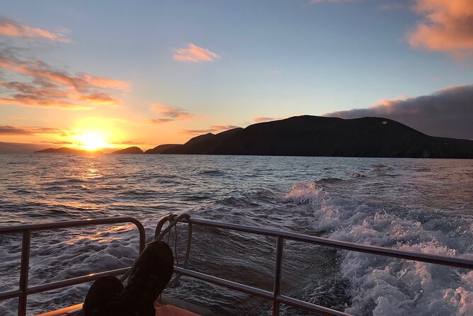 The Great Blasket Island Experience - Enjoying Refreshments on the Island