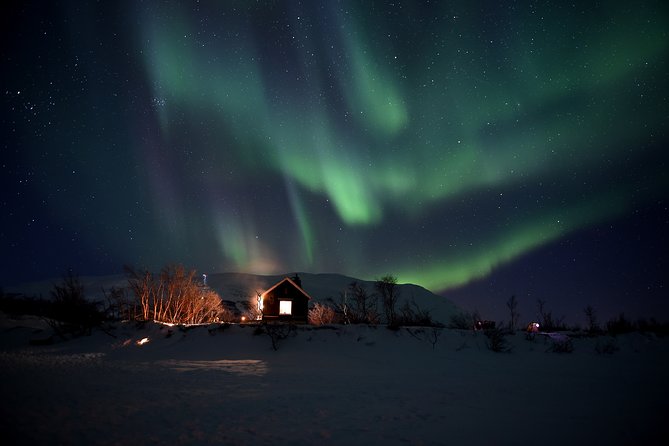 The Longest Northern Lights Tour in Abisko With Dinner - Additional Information