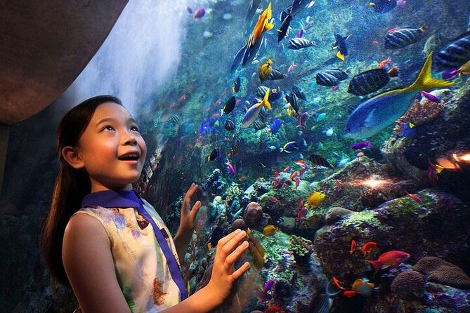 The Lost Chambers Aquarium Entry Ticket With Privatetransfer - Inclusions and Services