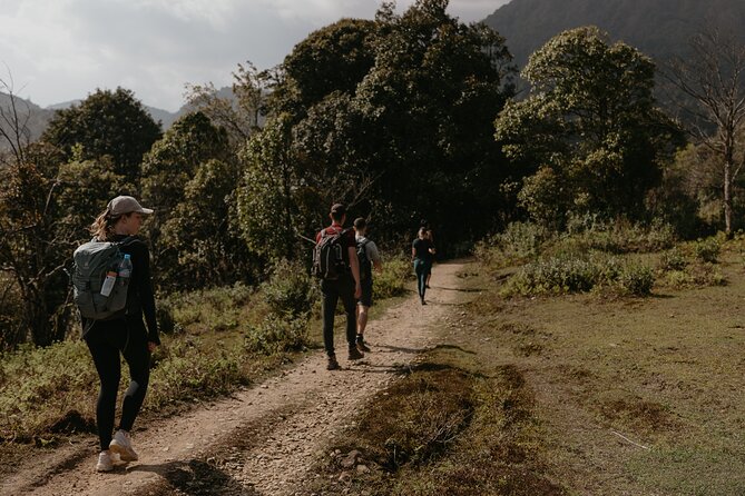 The North Run: 7 Day Ha Giang - Hoang Su Phi - Sapa - Fansipan - Tour Highlights