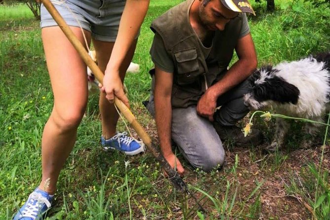 The Real Truffle Hunting in Abruzzo - Truffle Hunting Experience in Abruzzo