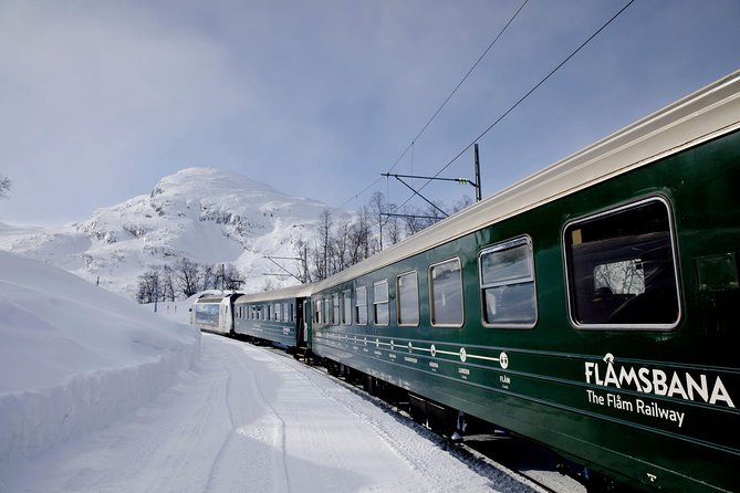 The Scenic Roadtrip, Oslo to Bergen via Flam & the Fjords - Tour Details and Inclusions