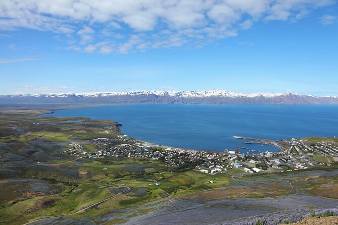 The Story of Fire Saga Eurovision: Netflix Húsavík Walking Tour - Tour Details
