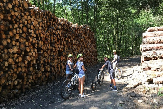 The Train Track Trail Mountain Bike Ride - Private Experience - Overview and Requirements