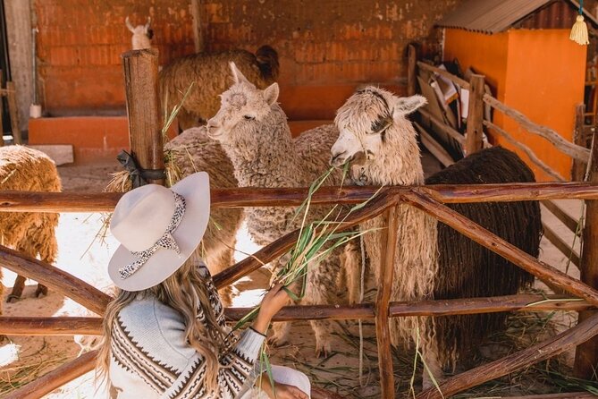 The Ultimate Sacred Valley Tour: 1 Day of Inca History, Lifestyle, Landscapes - Highlights of the Sacred Valley Tour