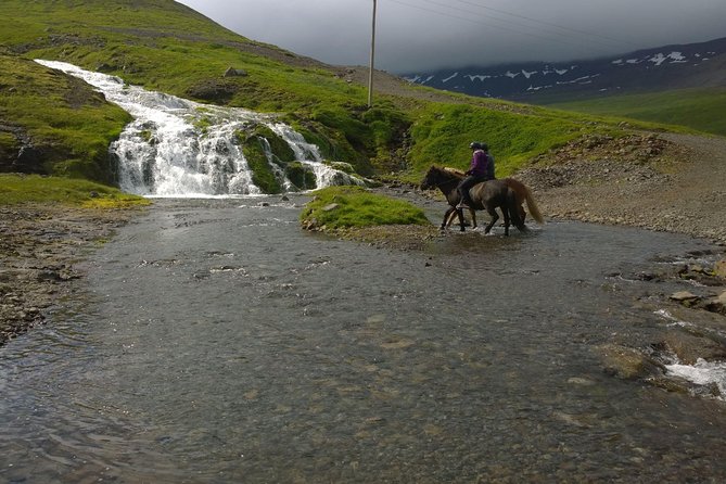 The Valley Ride Private HORSE RIDING Tour - Pickup and Transportation