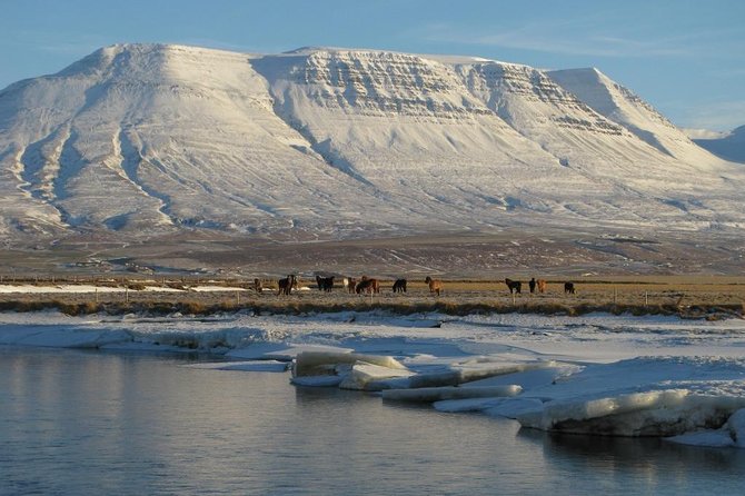 The Viking North Iceland Horse Riding in Winter Experience - Tour Overview and Experience