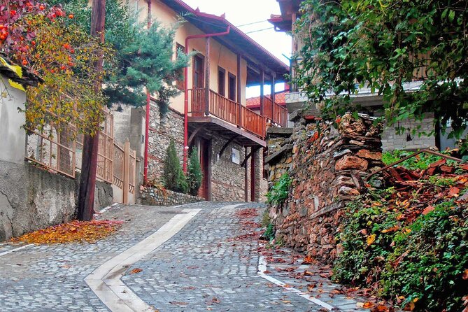 Thessaloniki to Naoussa, Wine Tasting Tour – Private Day Trip - Trip Details and Inclusions