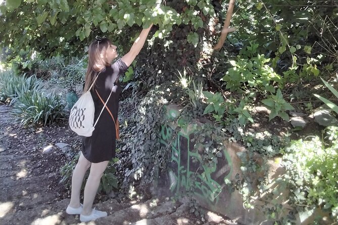 Thessaloniki Upper City Culture and Nature Herbal Walk - History and Mythology of Upper City