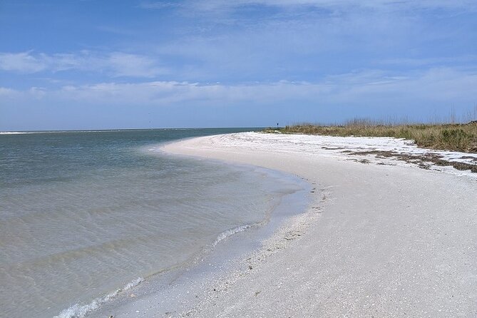 Three Hour Shelling Cruise to Shell Key Preserve From Johns Pass - Overview and Logistics