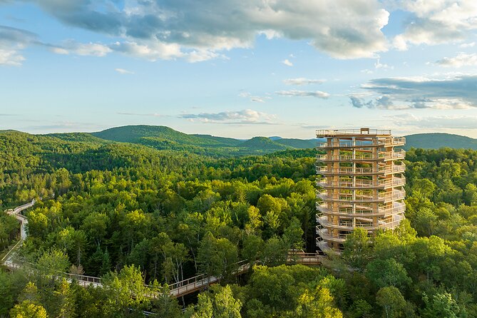 Ticket to Mont Tremblant Treetop Observatory and Walk - Inclusions