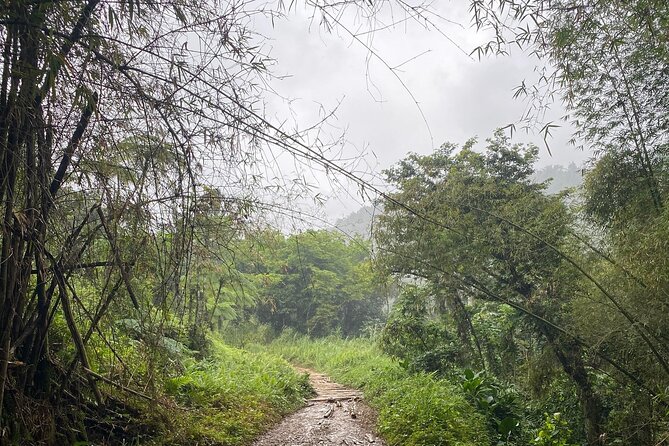 Tinajas Hiking Adventure to El Yunque Rainforest - What To Expect