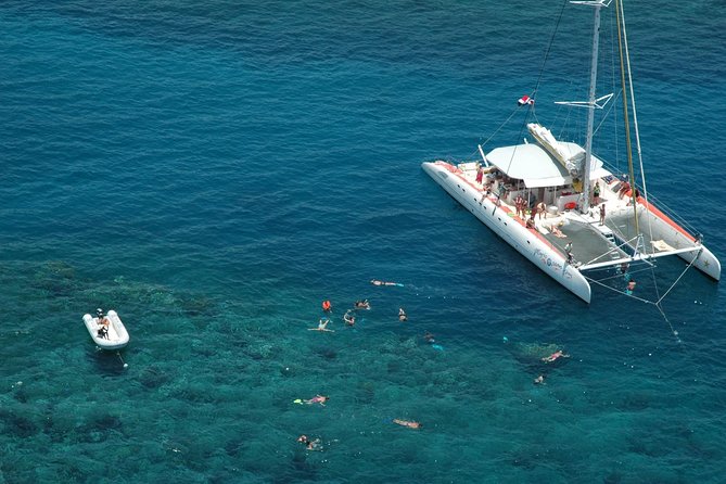 Tip Top Catamaran - Experience Highlights