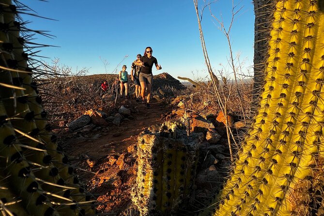Todos Santos Sunset Hike - Overview and Details