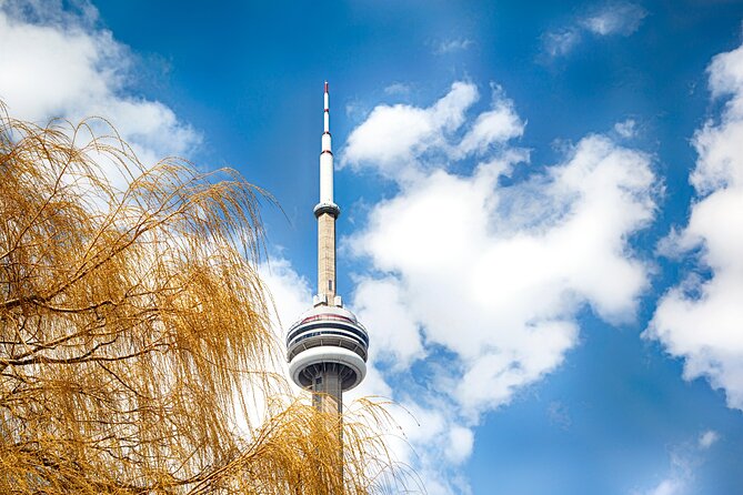 Toronto Downtown and Highlights Walking Tours - Insiders Perspective From a Guide