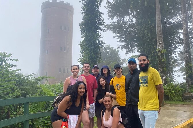 Tour El Yunque Rainforest - Traveler Feedback and Reviews