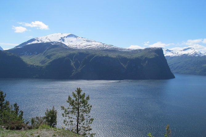 Tour From Alesund to Trollstigen Land of Trolls With Transfer - Tour Experience