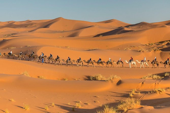 Tour From Marrakech to the Desert 4 Days - Transportation and Accommodations