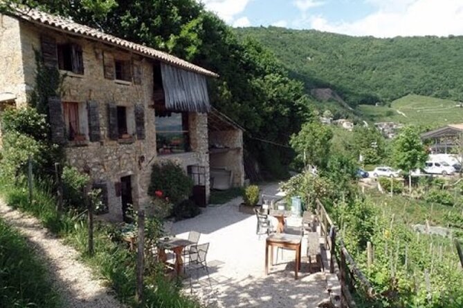 Tour in the Prosecco Hills Tour From Padua - Reservation and Cancellation