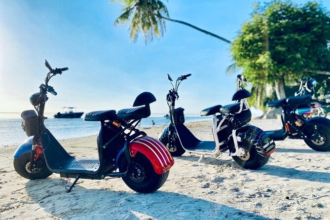 Tour of Moorea: the Most Beautiful Beaches! - Snorkeling and Marine Life in Mooreas Beaches