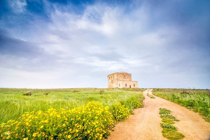 Tour of the Nature Reserve of Torre Guaceto - Pricing and Booking