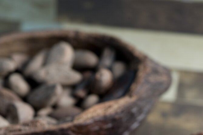 Tour to Uxmal Choco Story Chocolate Museum - Guided Tour Information
