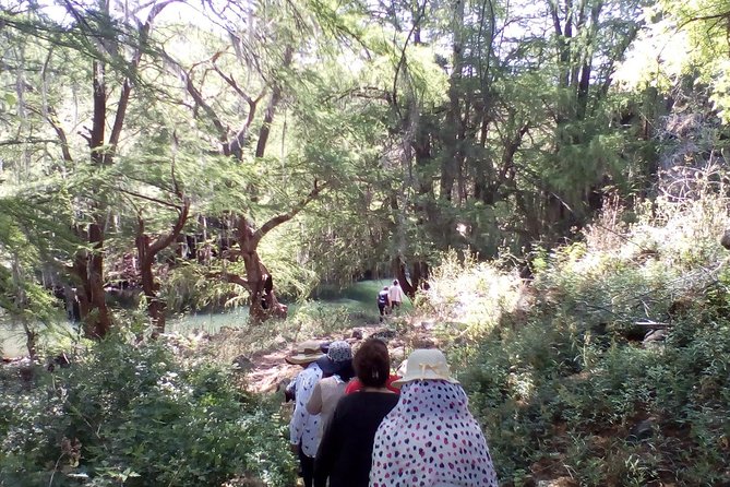 Tour Visiting the Malpais - Questions and Assistance