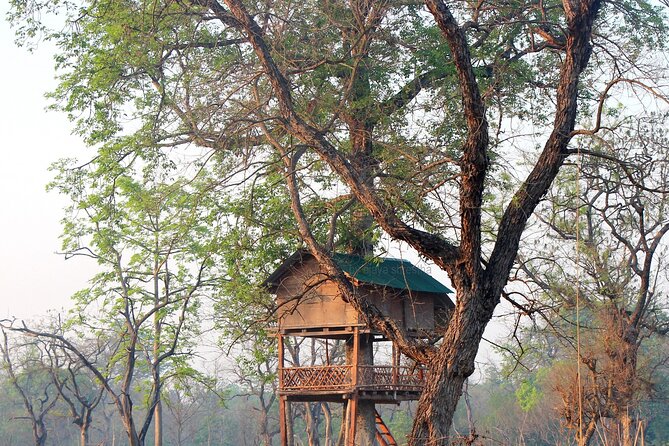 Tower Night Stay Bardia , Tree House Accommodation in Bardia - Overview and Details