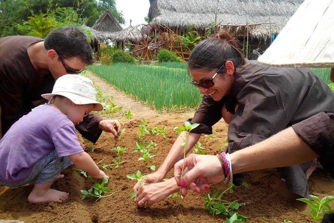 Tra Que Herb Village Farm Visit With Lunch  - Hoi An - Guided Tour of Historic Village and Farms