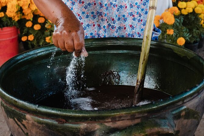Traditional Oaxaca Cooking Class With Transportation - Overview of Traditional Oaxaca Cooking Class