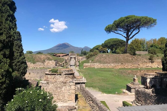 Transfer From Naples to Sorrento With a 2-Hour Stop in Pompeii - Pricing and Reservation