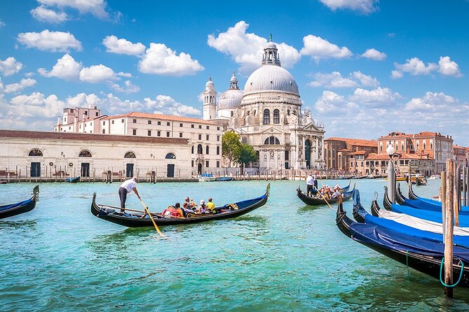 Transfer From Padova to Venice City Airport (Vce)/Port or V.V. - Overview of the Service