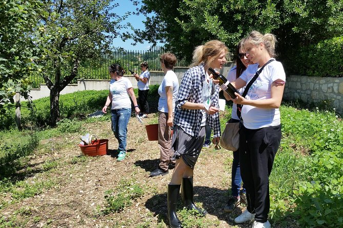Treasure Hunt & Wine Tasting - Vineyard Treasure Hunt