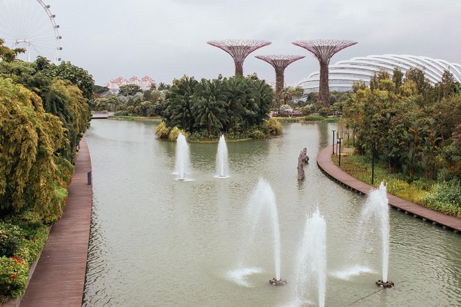 Treasures of Singapore: Gardens by the Bay Private Tour - Visit the Supertree Grove