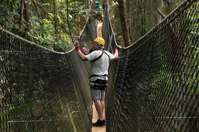 Treetop Adventure Park Canopy Tour - Ziplining Highlights