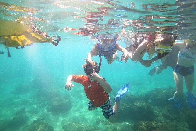 Tres Palmas Marine Reserve Snorkel With Free Photos and Videos  - Puerto Rico - Meeting and Pickup Information