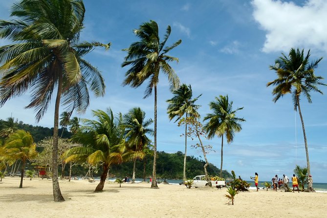 Trinidad Northern Eco-Cultural Full-Day Highlights Tour From Port of Spain - Relaxation Time at Maracas Bay
