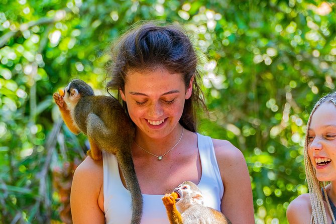 Triple Fun! Monkeyland Damajagua Waterfalls Buggies From Puerto Plata - Highlights of the Tour