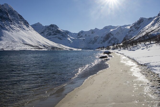 Tromsø Fjords and Islands Road Trip With 8 Seats Minivan - Tour Inclusions