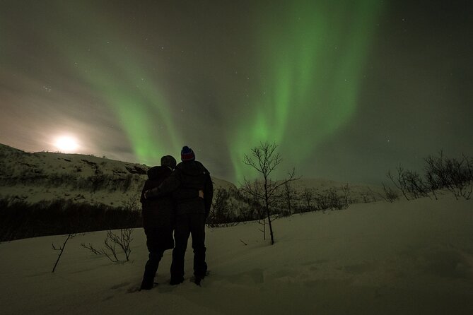 Tromsø Norway - Private Northern Lights Tour With Local Guide - Tour Details and Inclusions