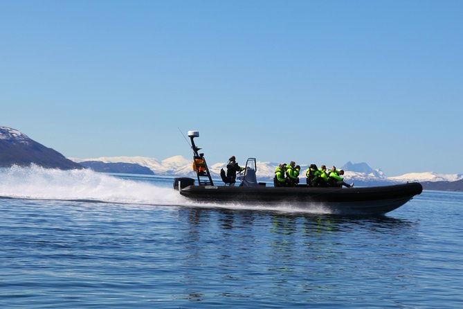 Tromsø: Skjervøy RIB Whale Watching Tour With Drinks & Snack - Tour Location and Duration