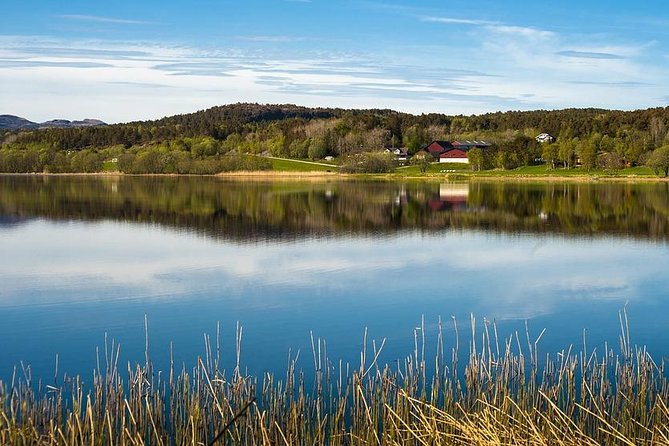 Trondheim Like a Local: Customized Private Tour - Pricing and Booking
