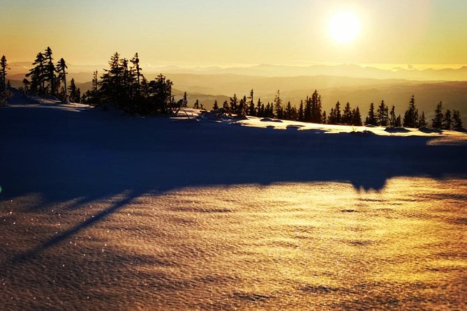 Trondheim Small-Group Cross-Country Skiing Adventure - Tour Overview